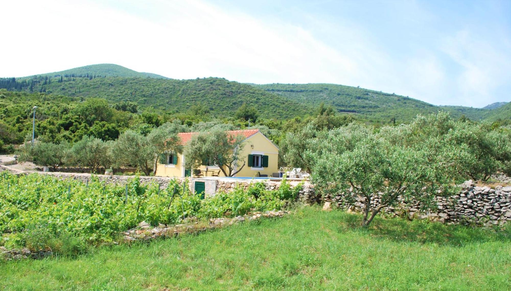 Vineyard House & Olive Grove House Villa Racisce Luaran gambar