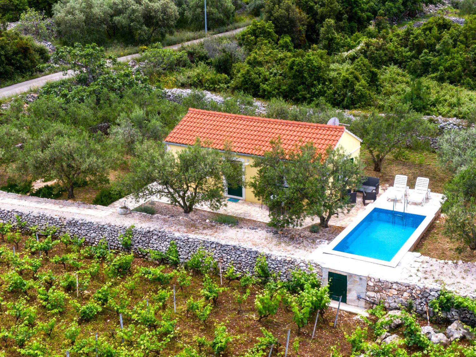 Vineyard House & Olive Grove House Villa Racisce Luaran gambar