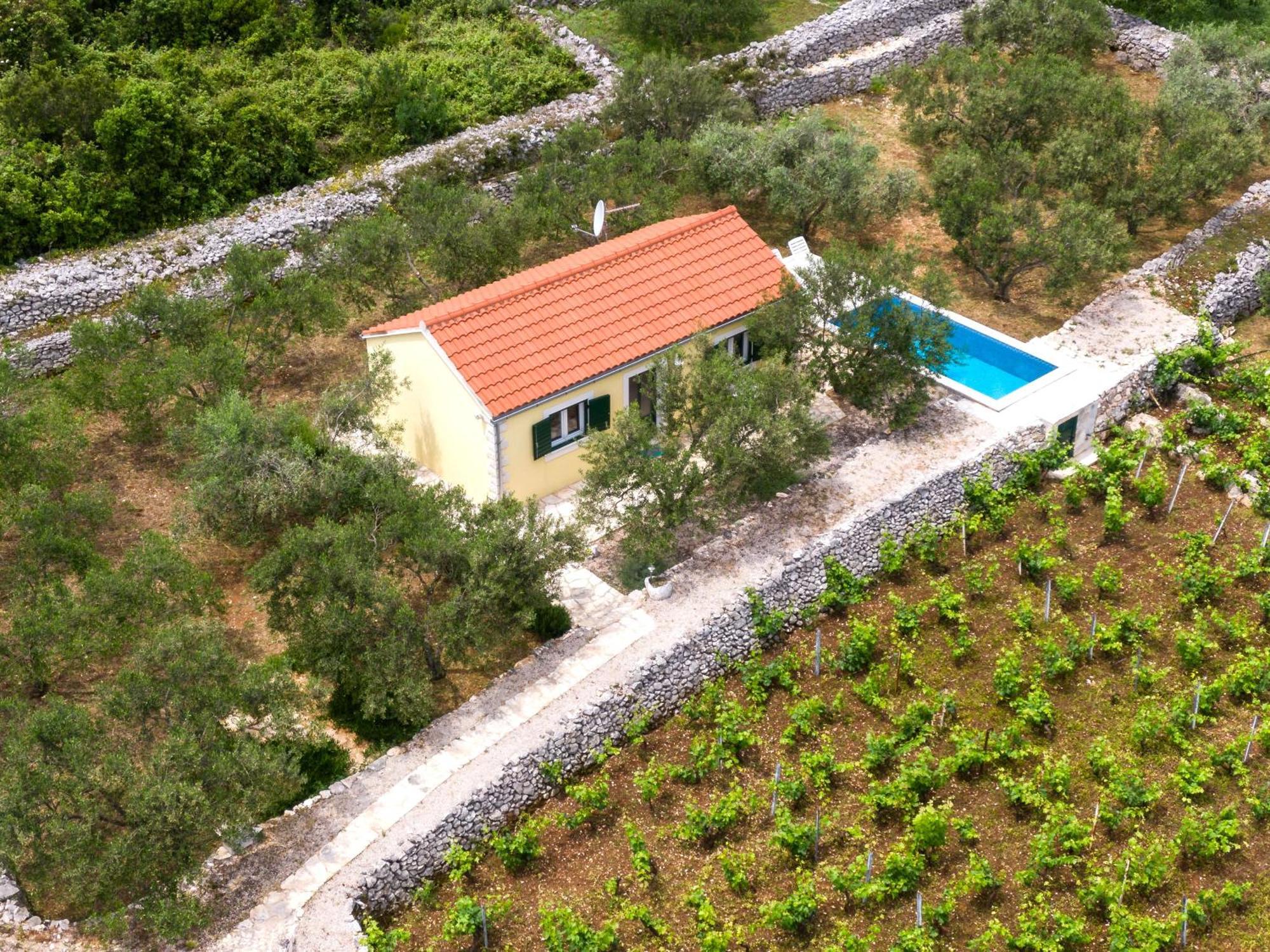Vineyard House & Olive Grove House Villa Racisce Luaran gambar