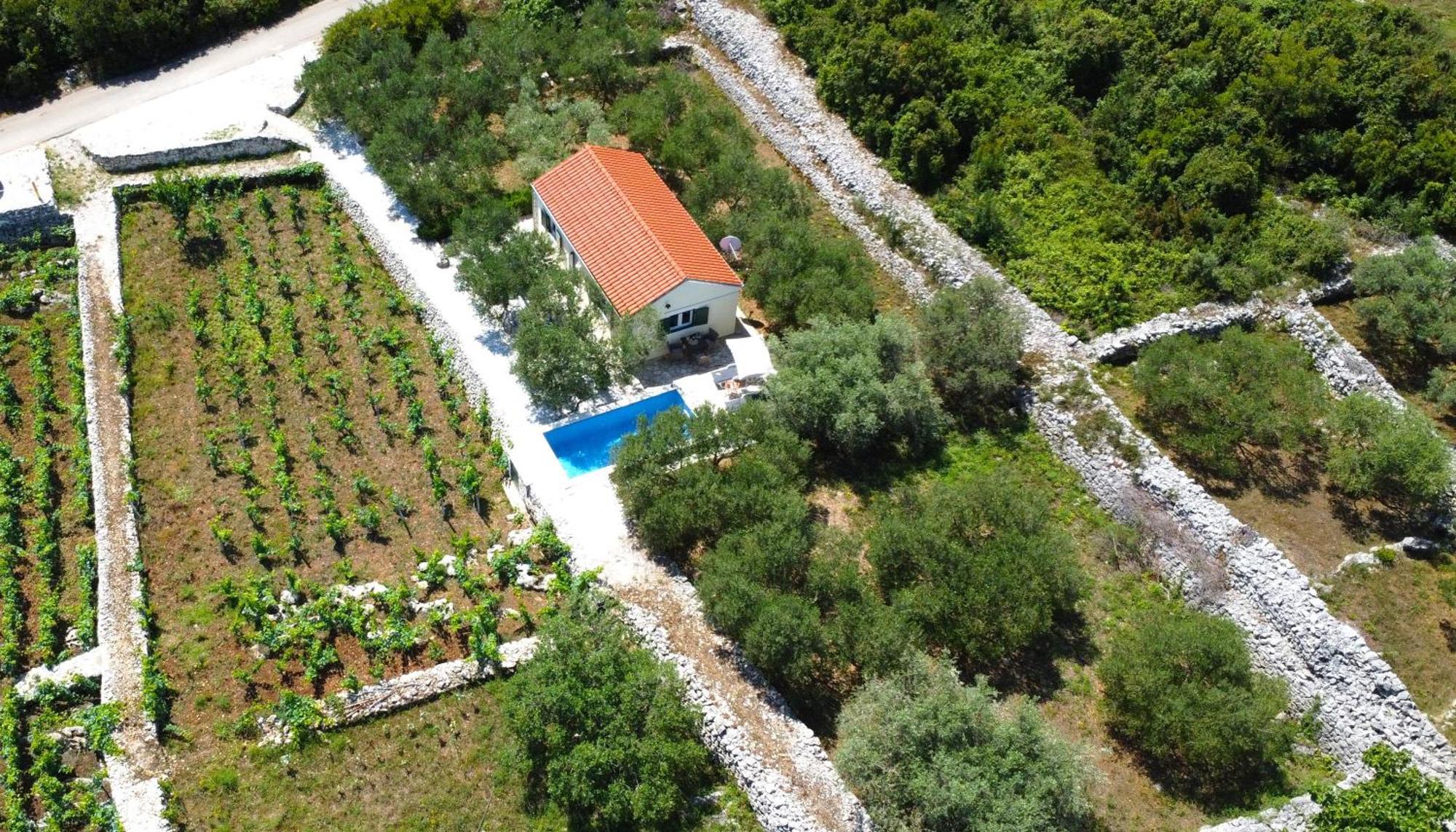 Vineyard House & Olive Grove House Villa Racisce Luaran gambar