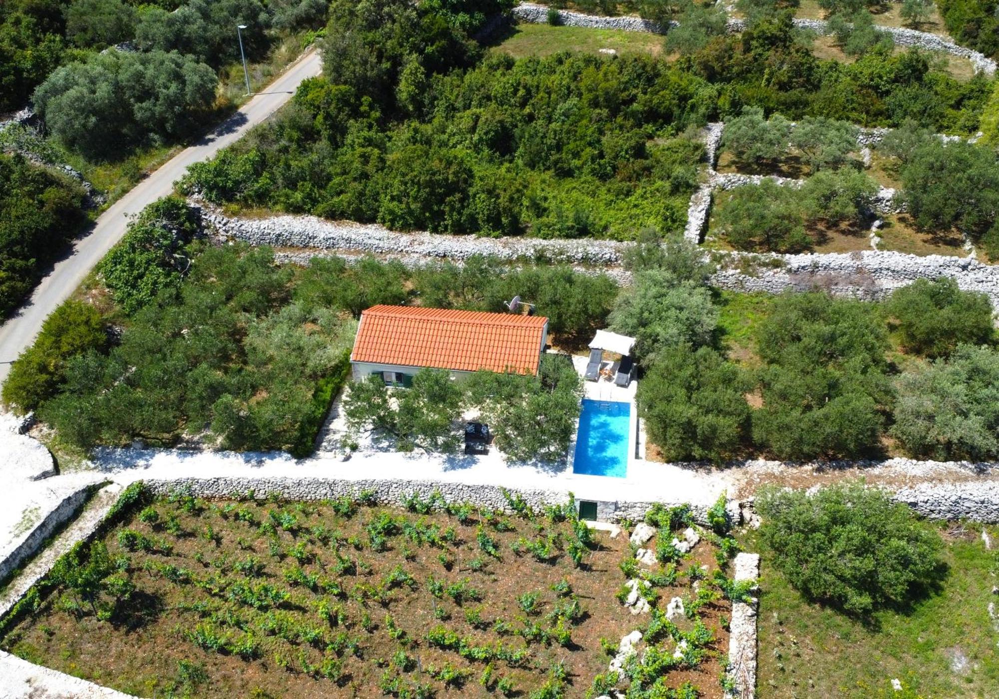 Vineyard House & Olive Grove House Villa Racisce Luaran gambar