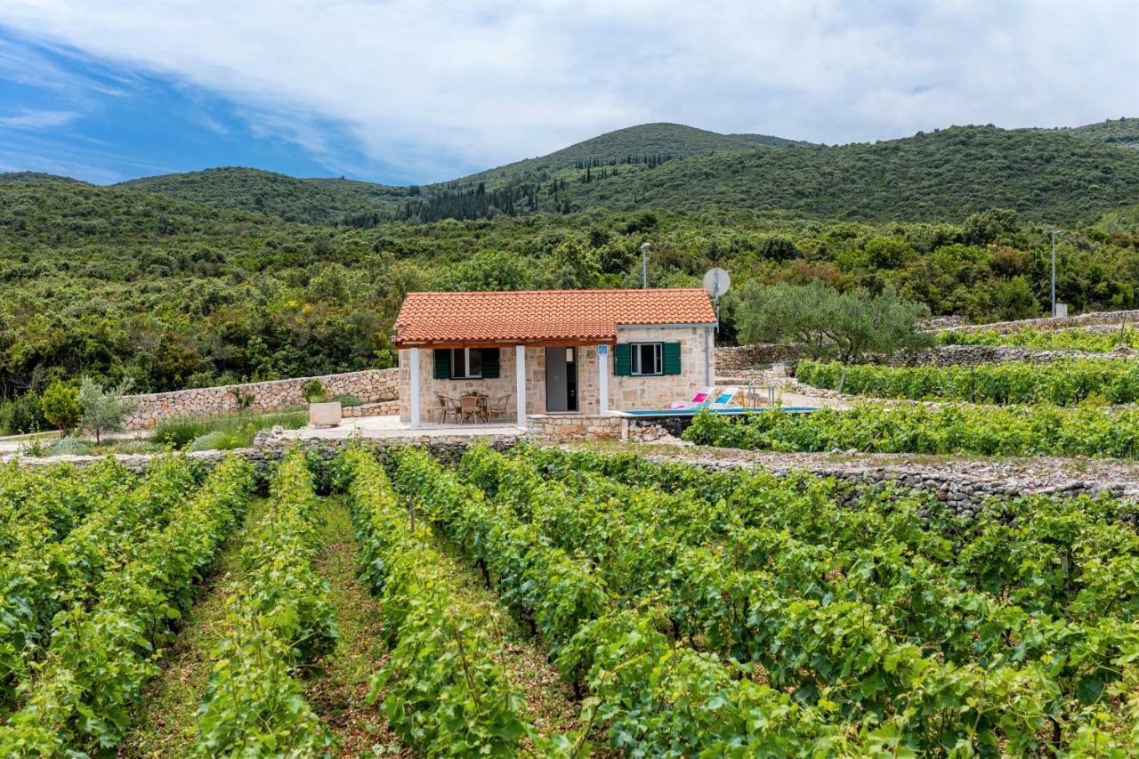 Vineyard House & Olive Grove House Villa Racisce Luaran gambar