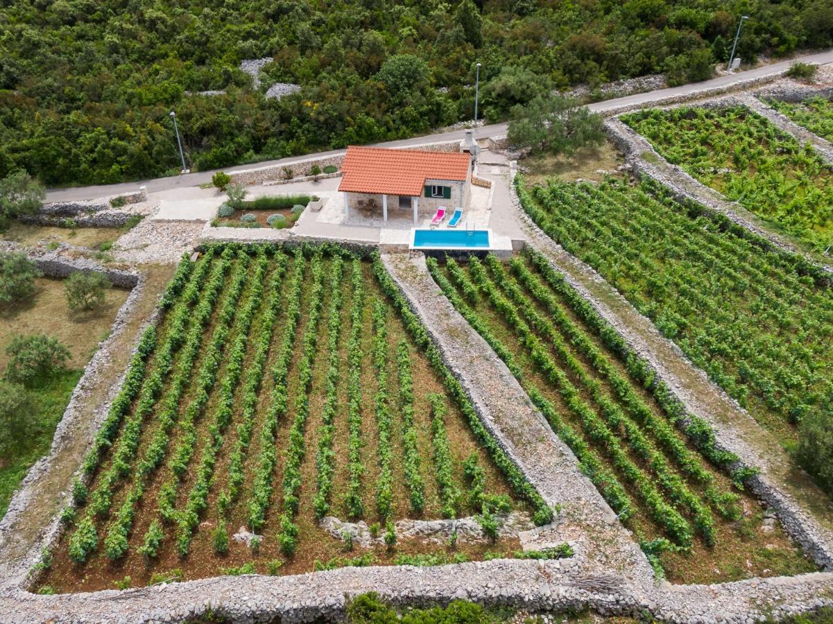 Vineyard House & Olive Grove House Villa Racisce Luaran gambar