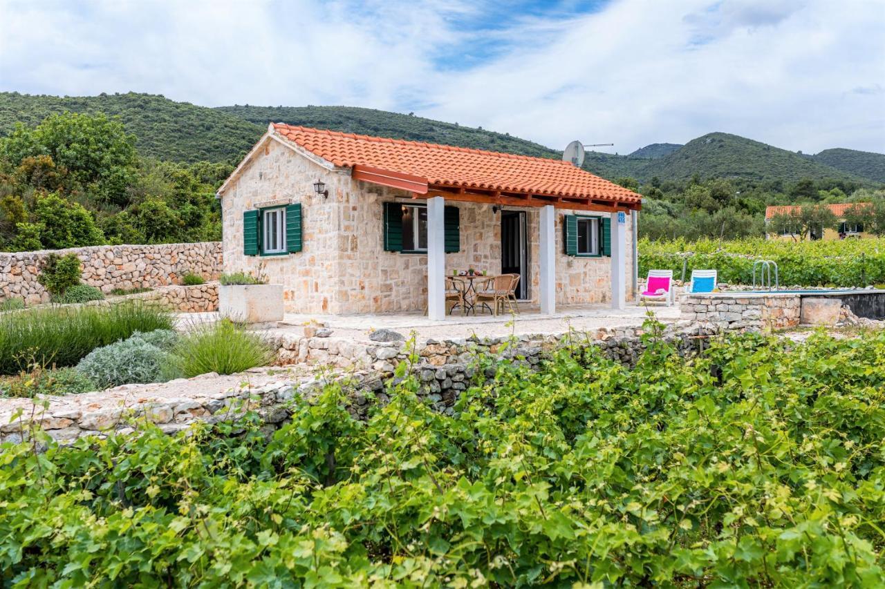Vineyard House & Olive Grove House Villa Racisce Luaran gambar