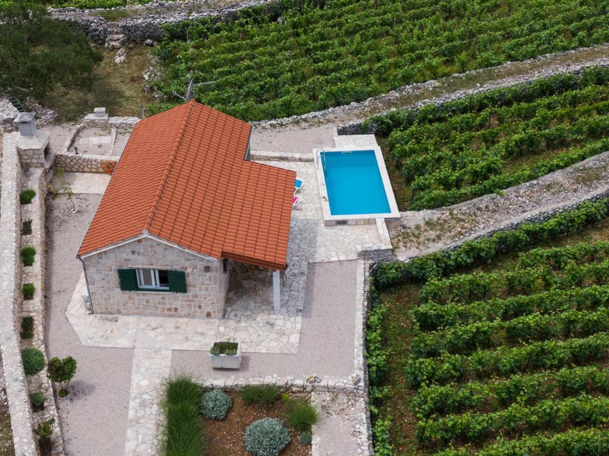 Vineyard House & Olive Grove House Villa Racisce Luaran gambar