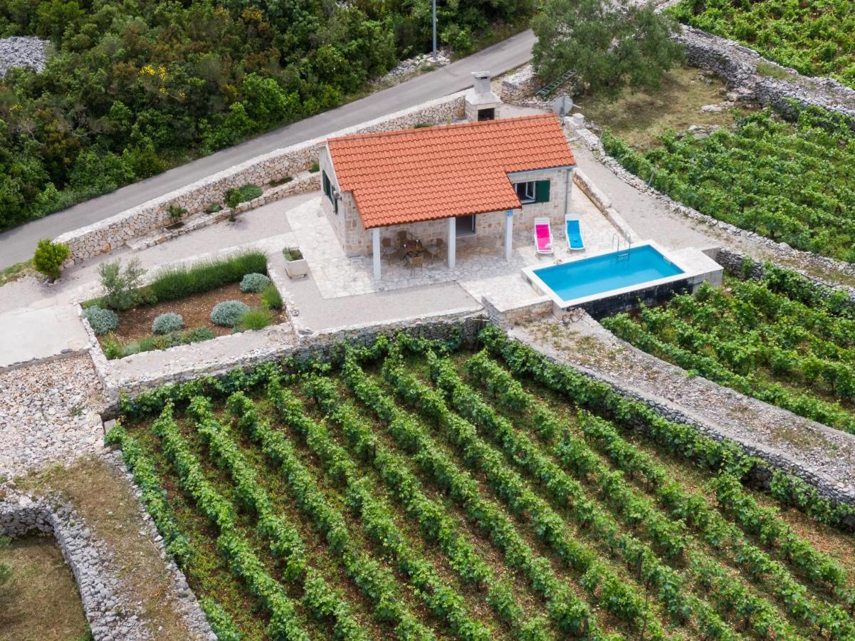 Vineyard House & Olive Grove House Villa Racisce Luaran gambar