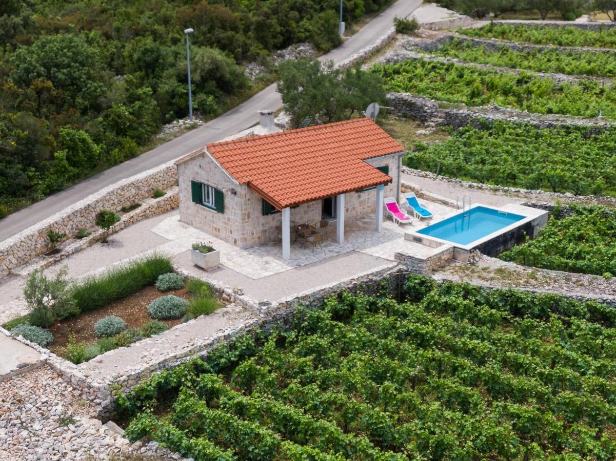 Vineyard House & Olive Grove House Villa Racisce Luaran gambar