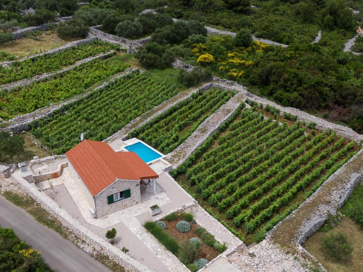 Vineyard House & Olive Grove House Villa Racisce Luaran gambar